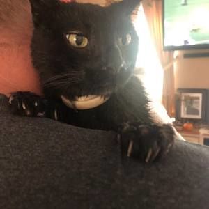 Meet your Posher, Kerry